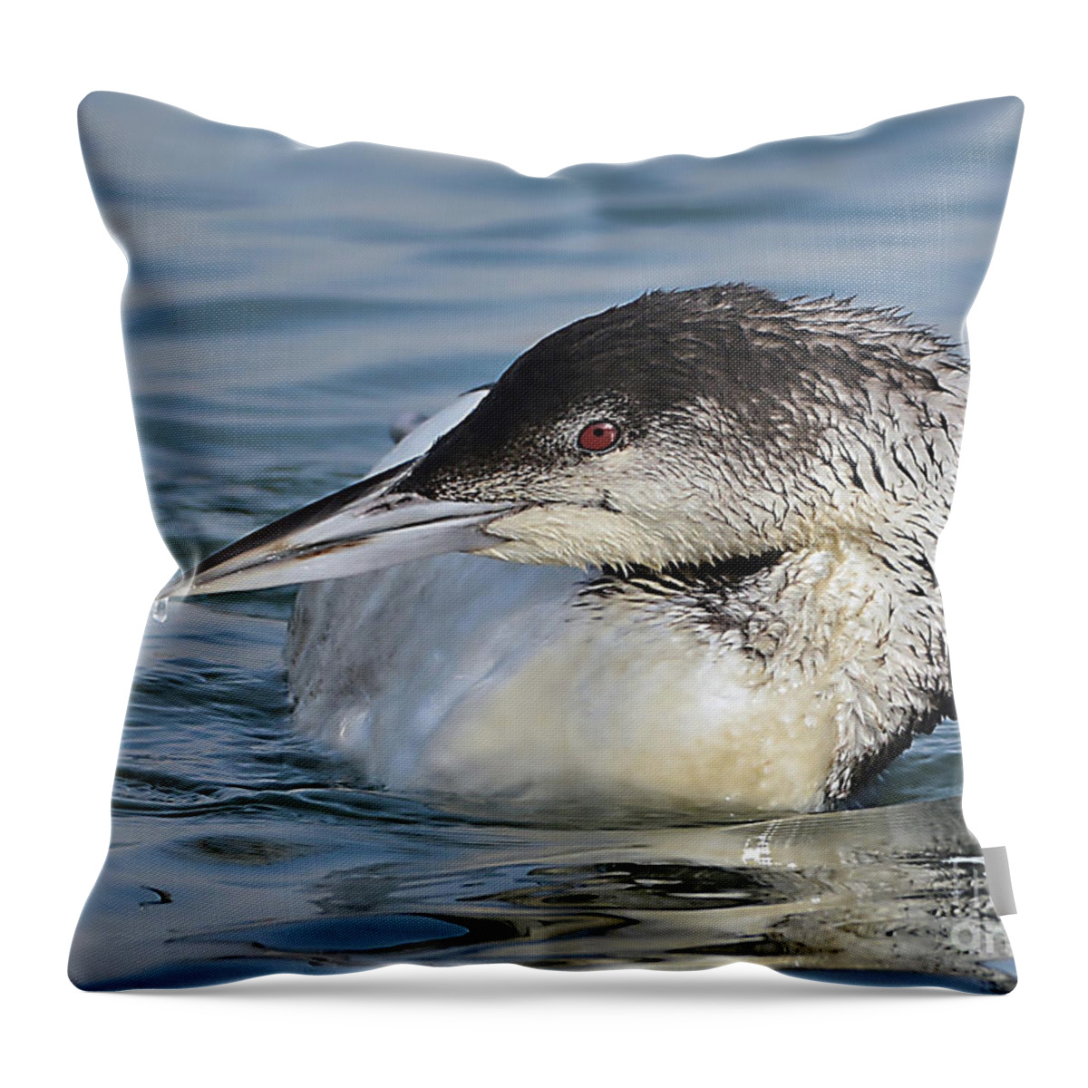 Bird Throw Pillow featuring the photograph Loon by Kathy Baccari