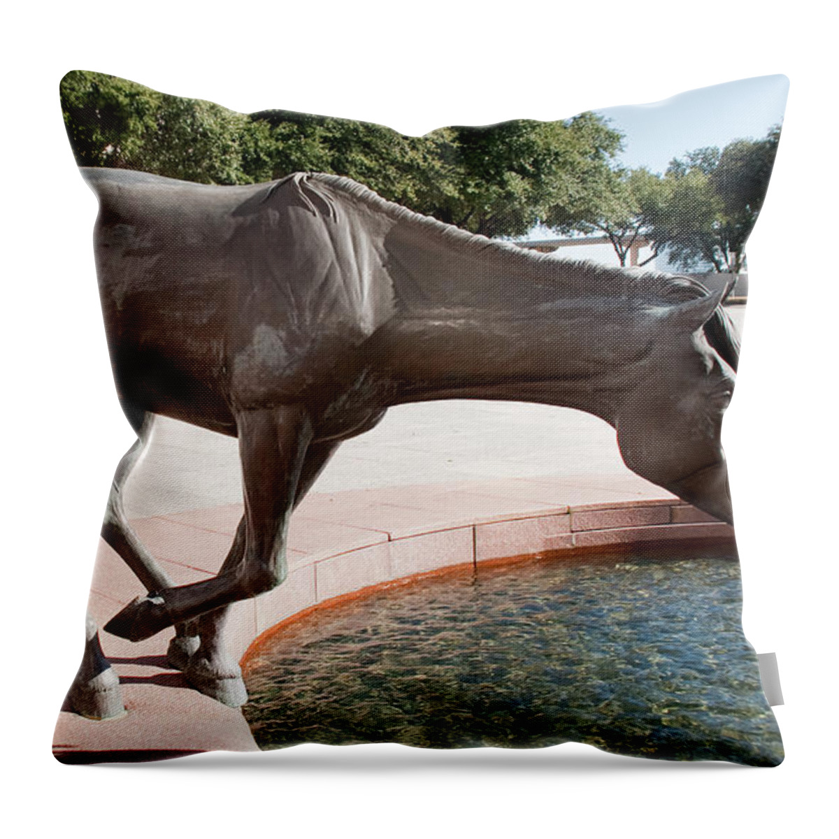 Sculptures Throw Pillow featuring the photograph Los Colinas Mustangs 14687 by Guy Whiteley