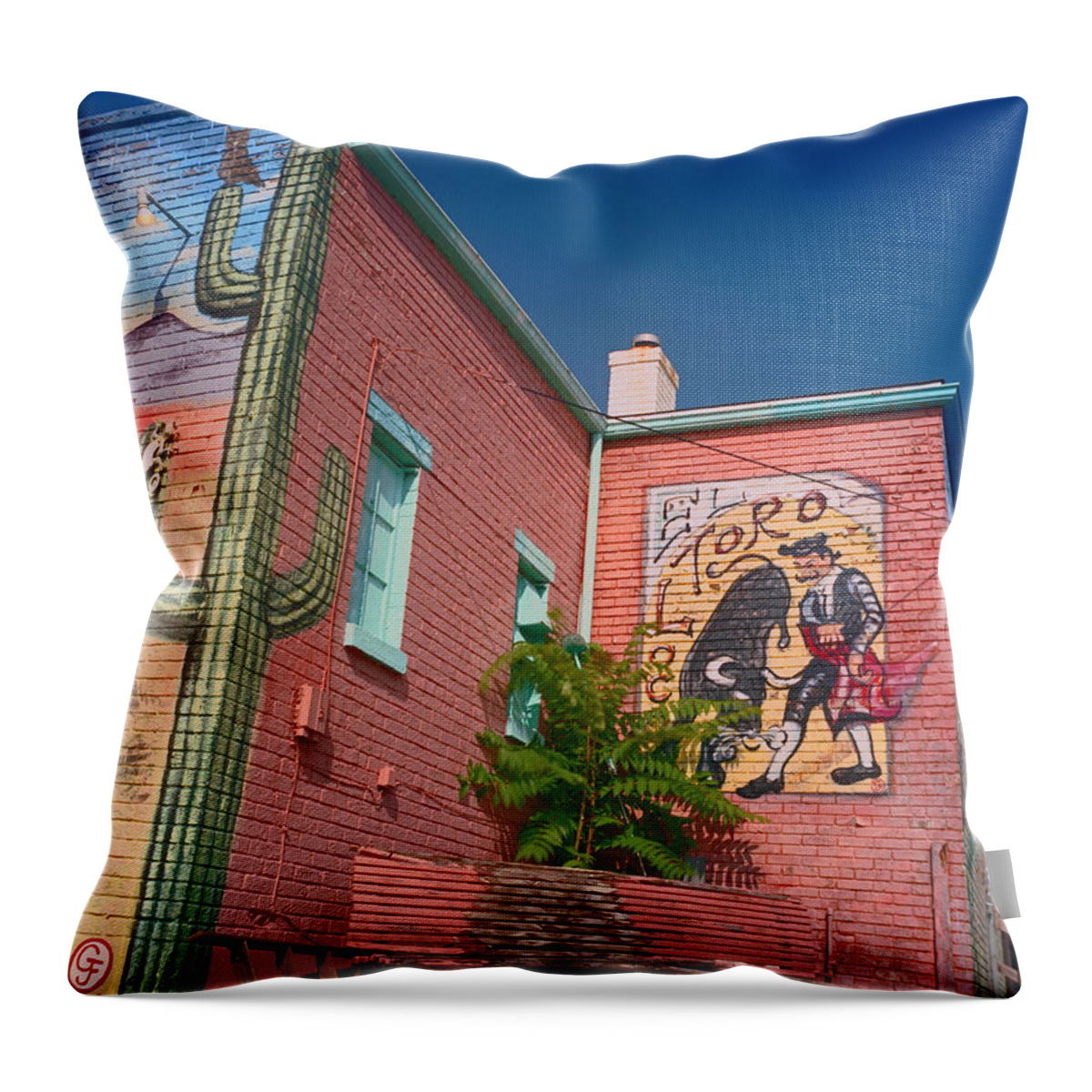 Los Murales Throw Pillow featuring the photograph Los Murales by Kris Rasmusson