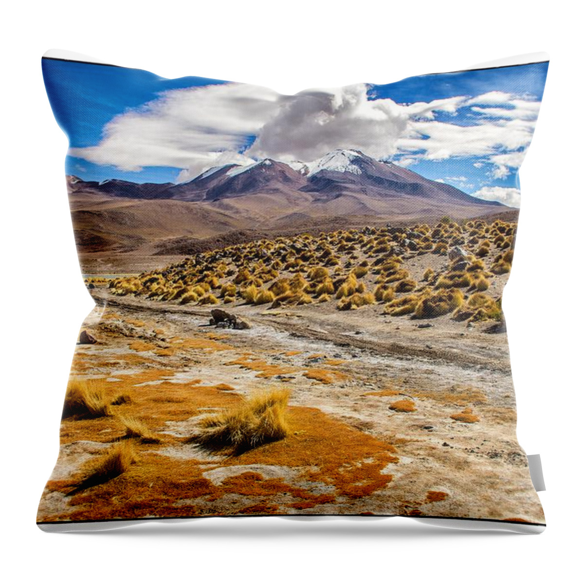  Lagoon Throw Pillow featuring the photograph Lost In The Bolivian Desert Framed by For Ninety One Days