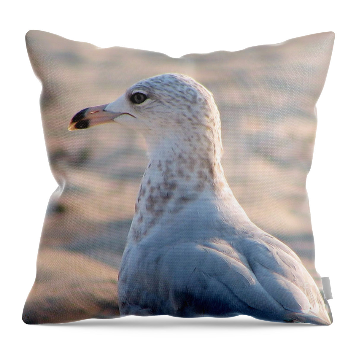 Seagull Throw Pillow featuring the photograph Lost In Thought by Roxy Riou