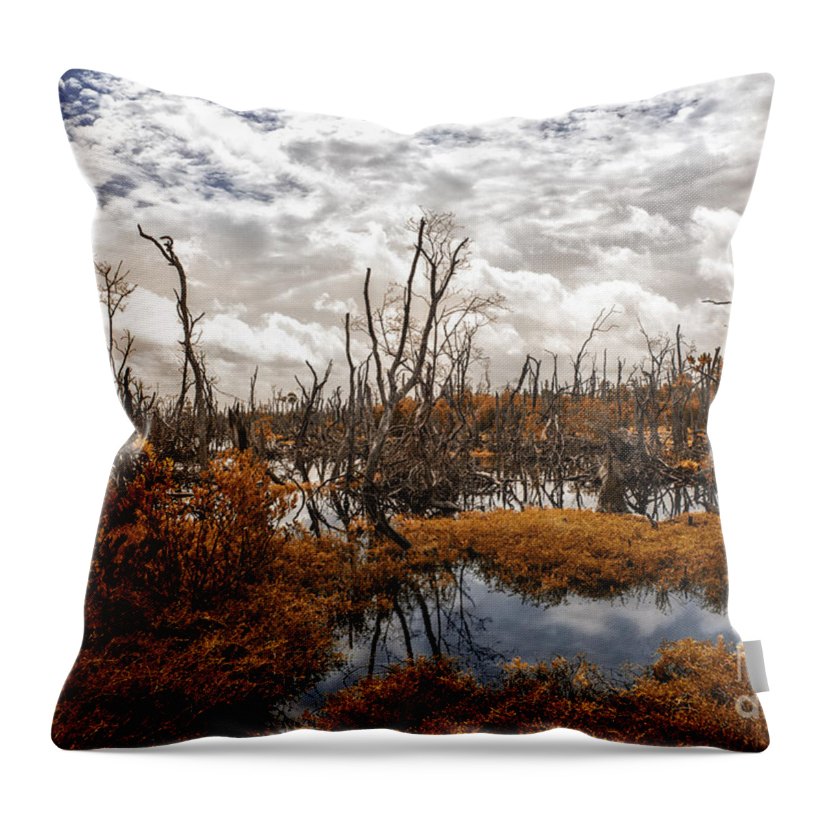 Cuba Throw Pillow featuring the photograph Lost in time by Jose Rey