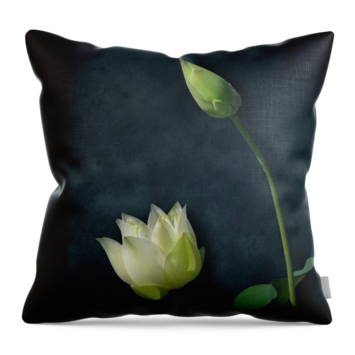 Nature Throw Pillow featuring the photograph Lotus Bud and Bloom by Deborah Smith
