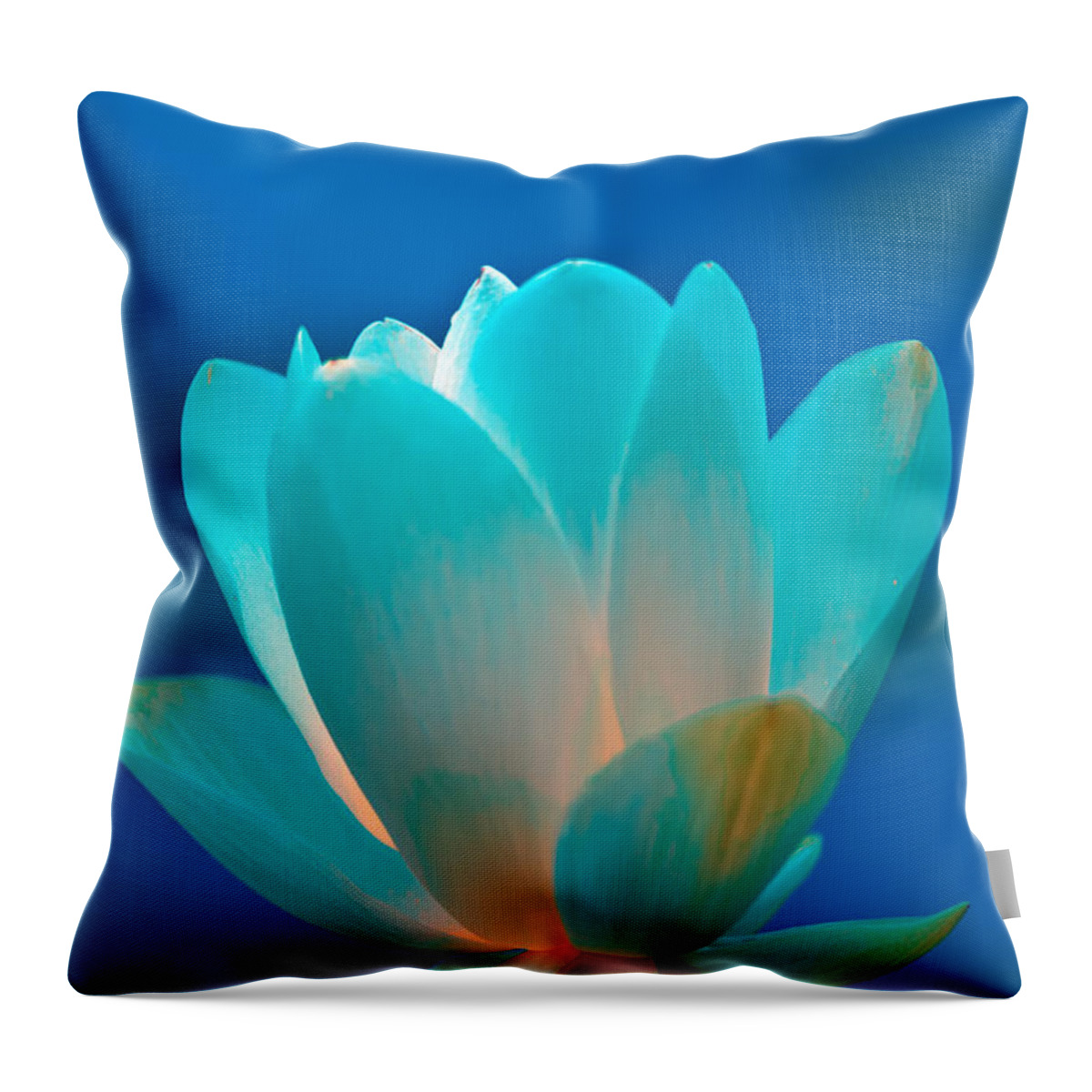 Lotus Lillie Throw Pillow featuring the photograph Lotus Natural Inner Light by Randall Branham