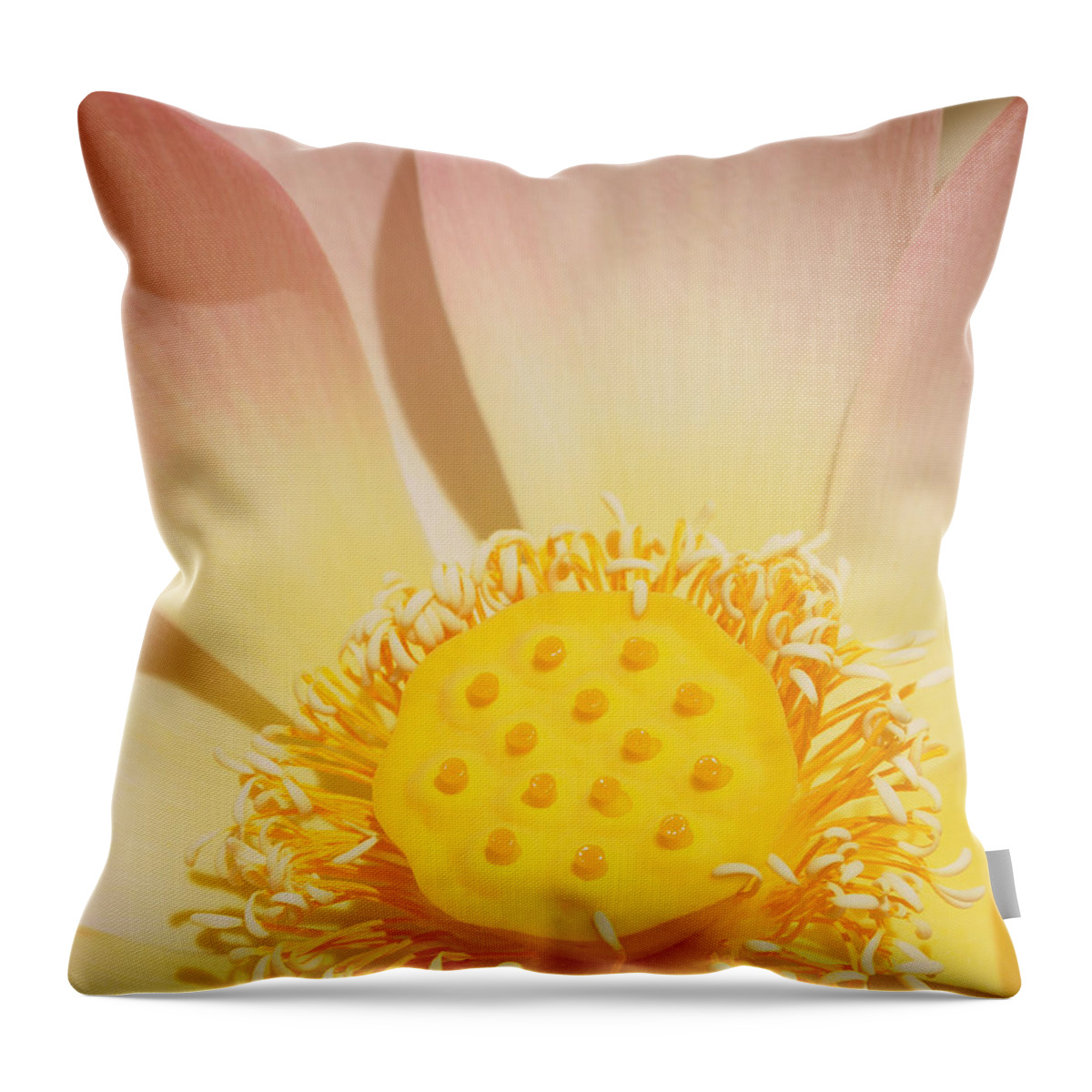 Lotus Throw Pillow featuring the photograph Lotus Number One by Catherine Lau