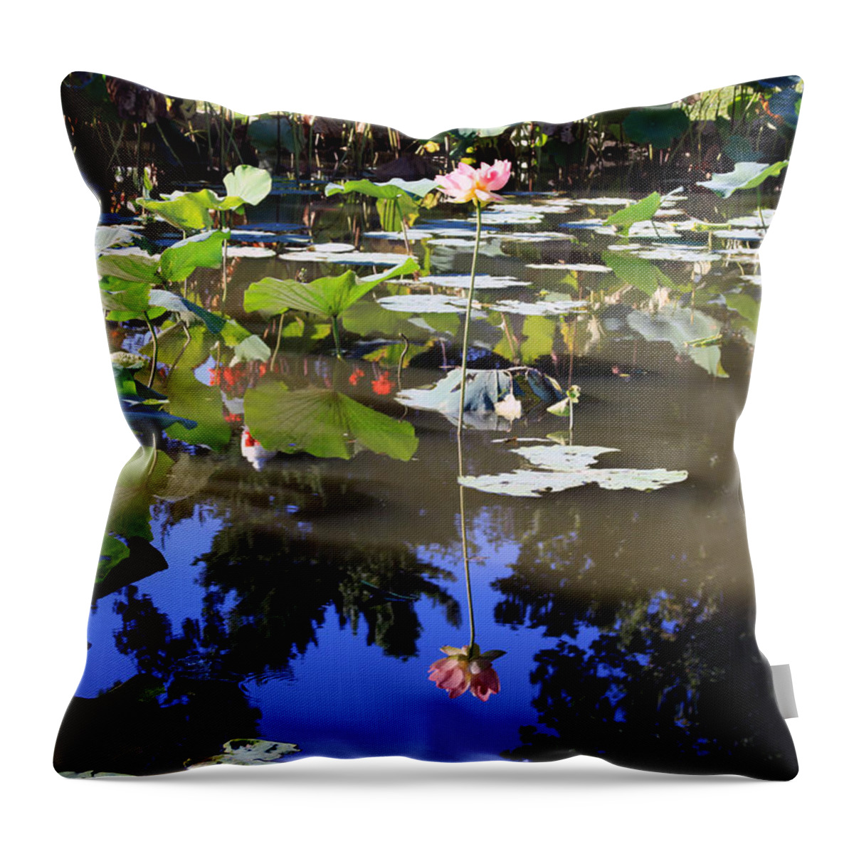Garden Pond Throw Pillow featuring the photograph Lotus Reflection by John Lautermilch
