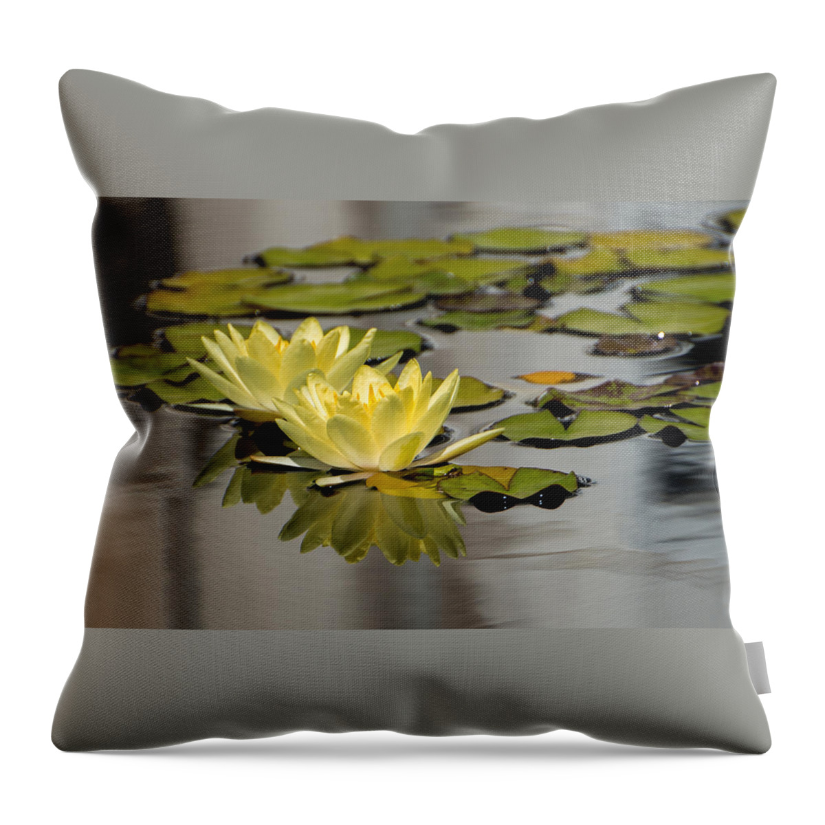 Waterlily Throw Pillow featuring the photograph Yellow Waterlily by Stacy Abbott