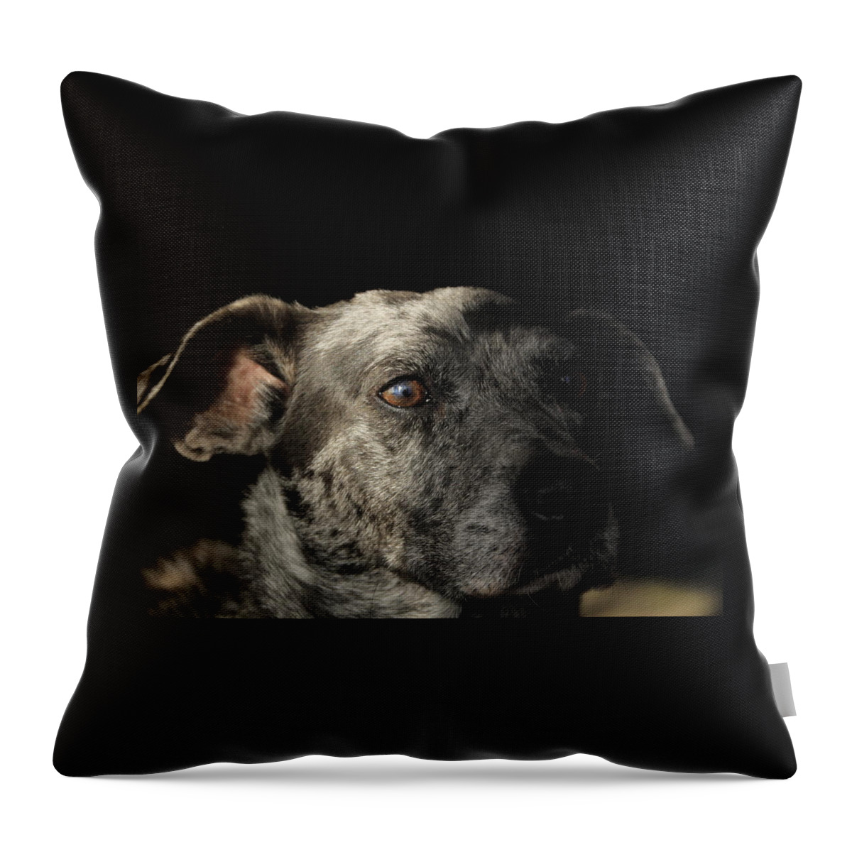 Catahoula Throw Pillow featuring the photograph Louisiana Catahoula Leopard Dog by Valerie Collins