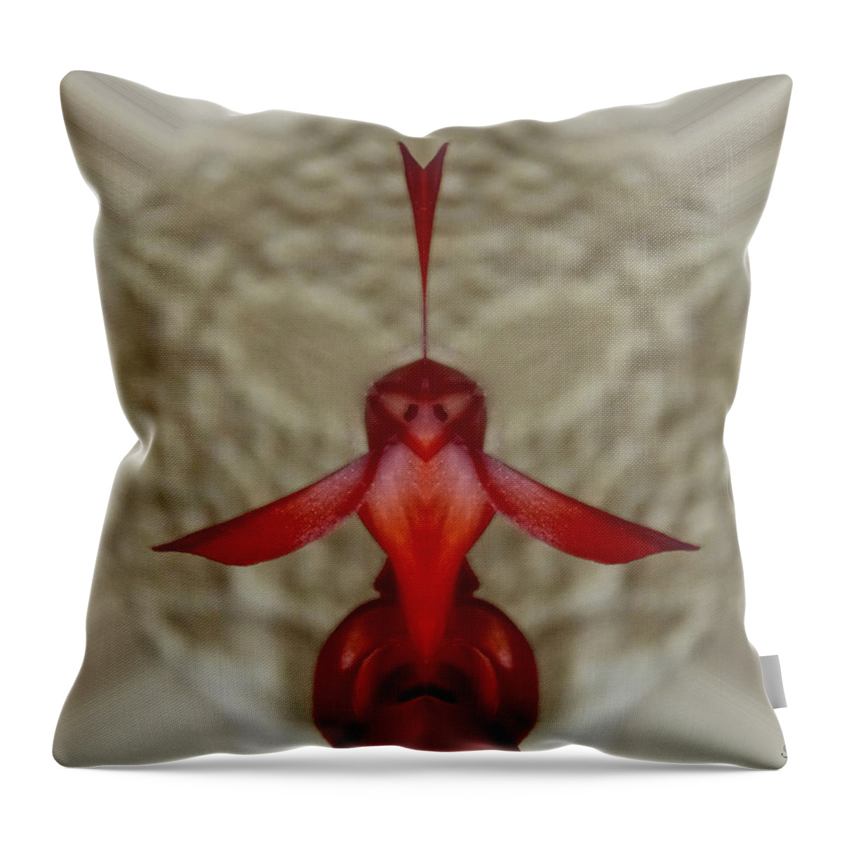 Abstract Throw Pillow featuring the photograph Love Bird by Pete Trenholm