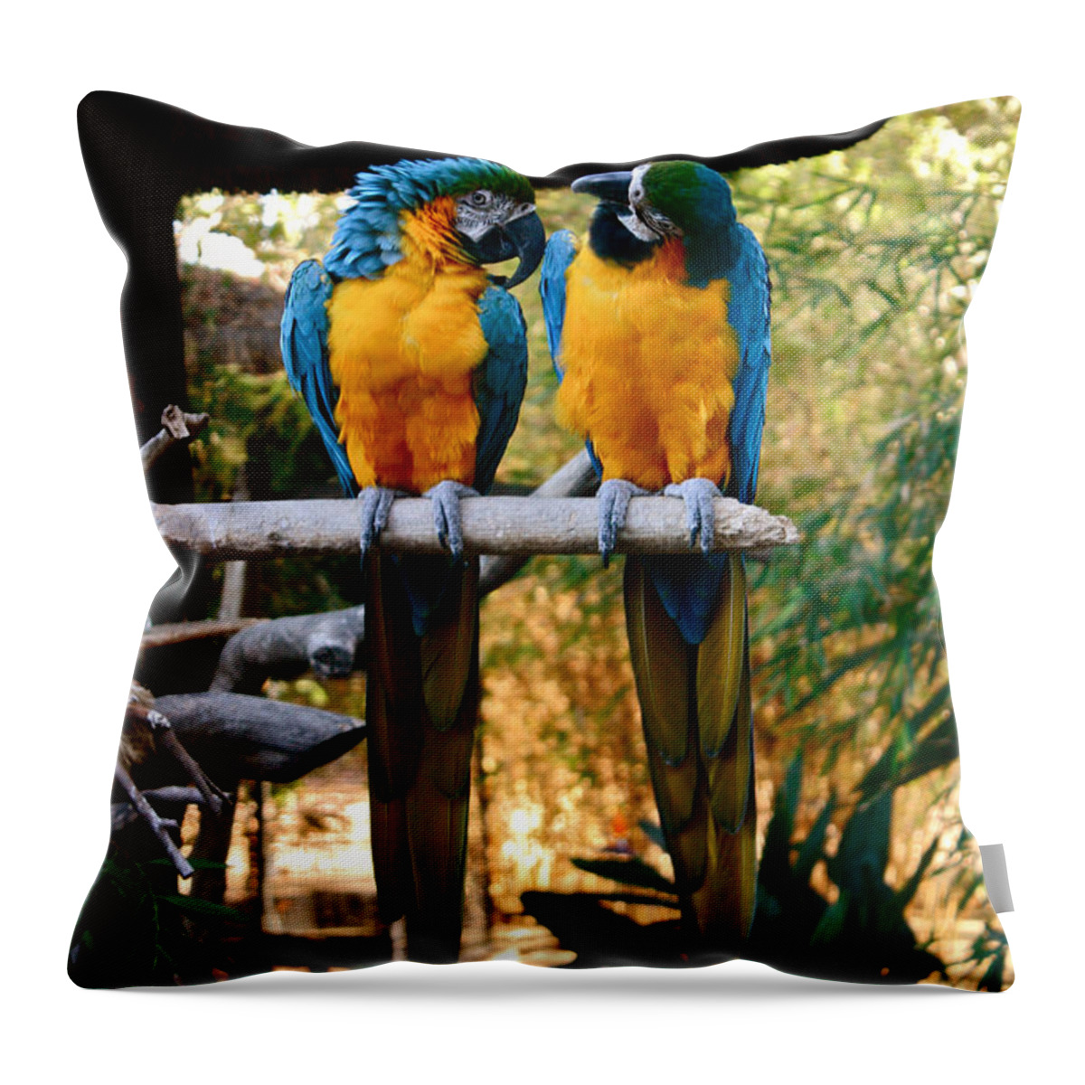 Santa Ana Zoo Throw Pillow featuring the photograph Love Birds by Carol Tsiatsios