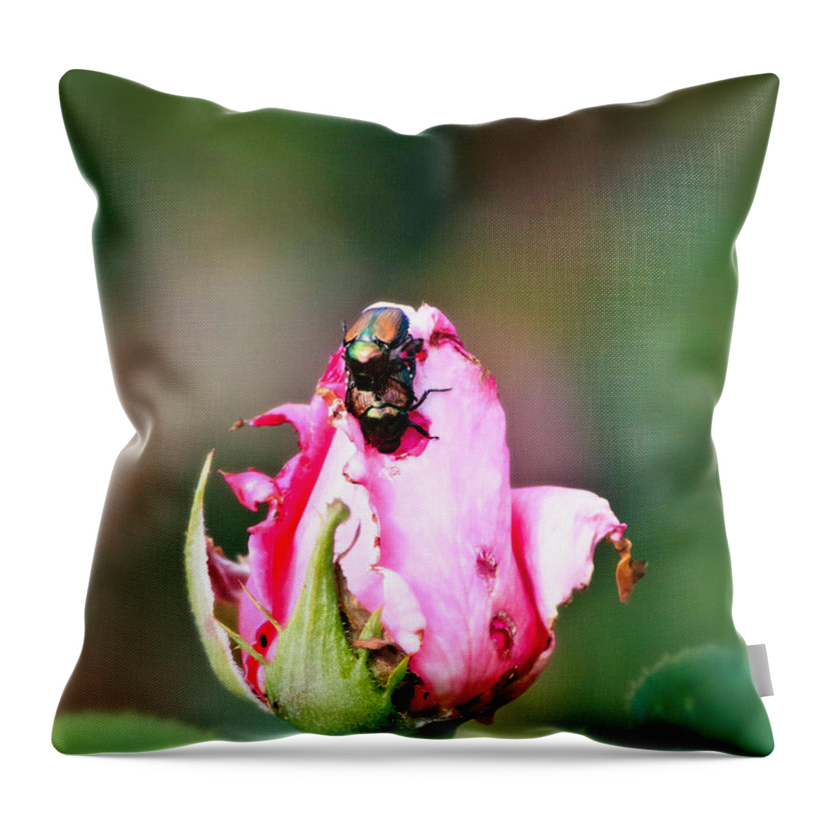 Love Bugs Throw Pillow featuring the photograph Love Bugs by Ms Judi