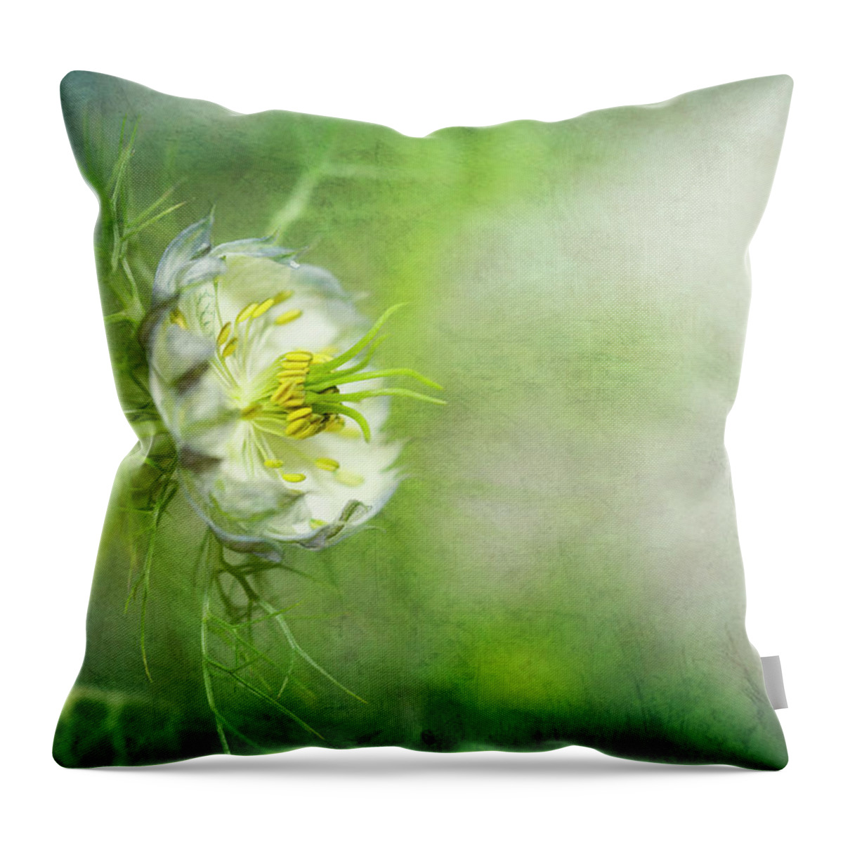 California Throw Pillow featuring the photograph Love-in-a-mist, Nigella Flower by Susangaryphotography