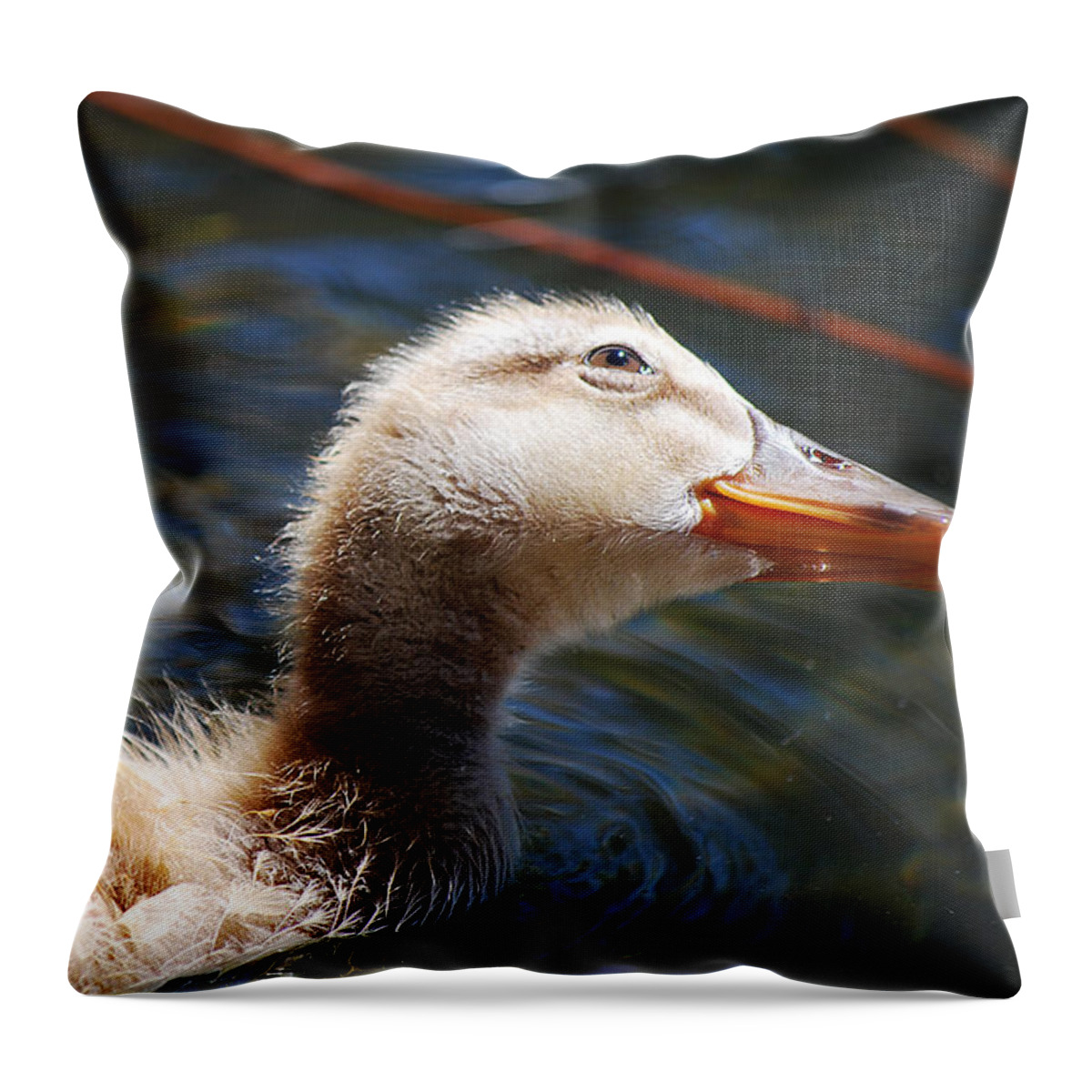 Becky Furgason Throw Pillow featuring the photograph #loveduck by Becky Furgason