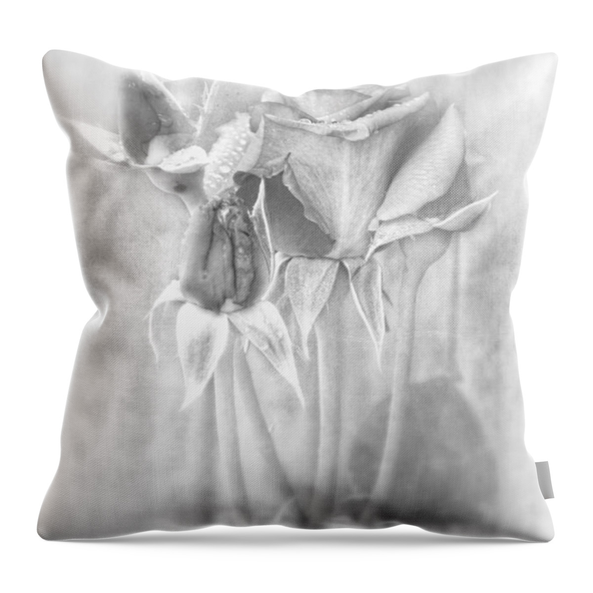 Beauty Throw Pillow featuring the photograph Loveliness by Peggy Hughes