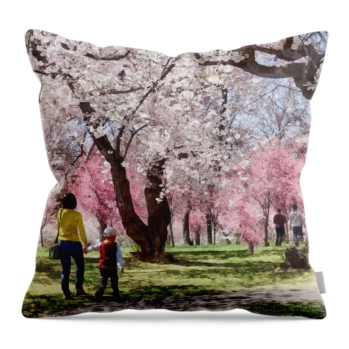 Spring Throw Pillow featuring the photograph Lovely Spring Day For a Walk by Susan Savad