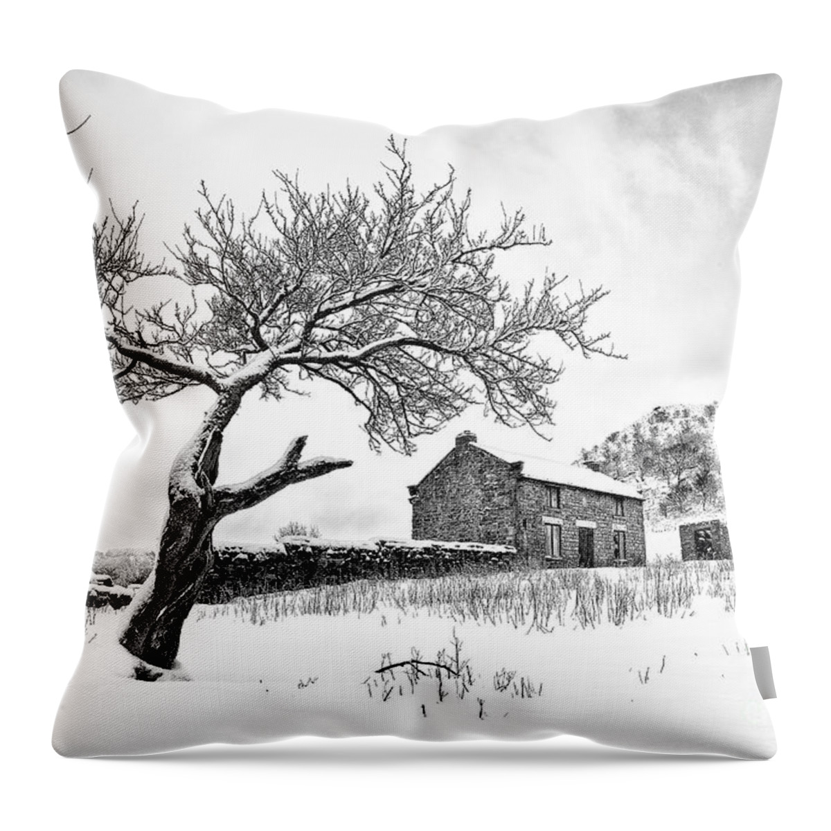 January Throw Pillow featuring the photograph Low Horcum by Richard Burdon