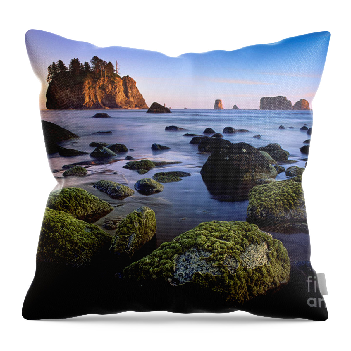 America Throw Pillow featuring the photograph Low Tide at Second Beach by Inge Johnsson
