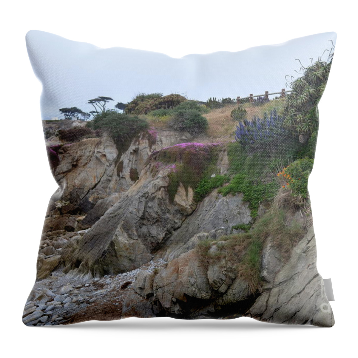 Ocean Throw Pillow featuring the photograph Low Tide by Mary Rogers