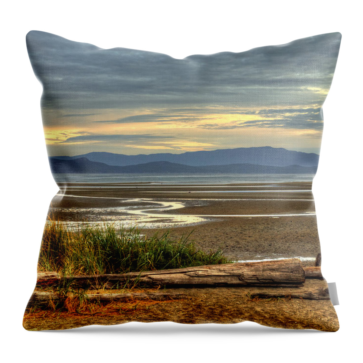 Landscape Throw Pillow featuring the photograph Low Tide by Randy Hall