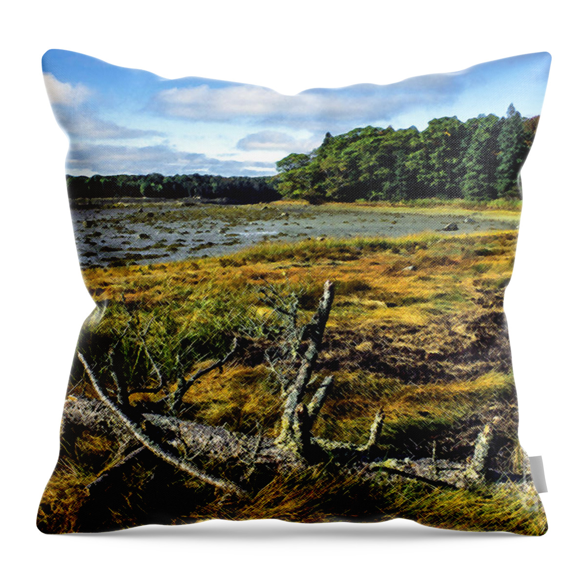 Deer Isle Throw Pillow featuring the photograph Low Tide Reach Road by Thomas R Fletcher
