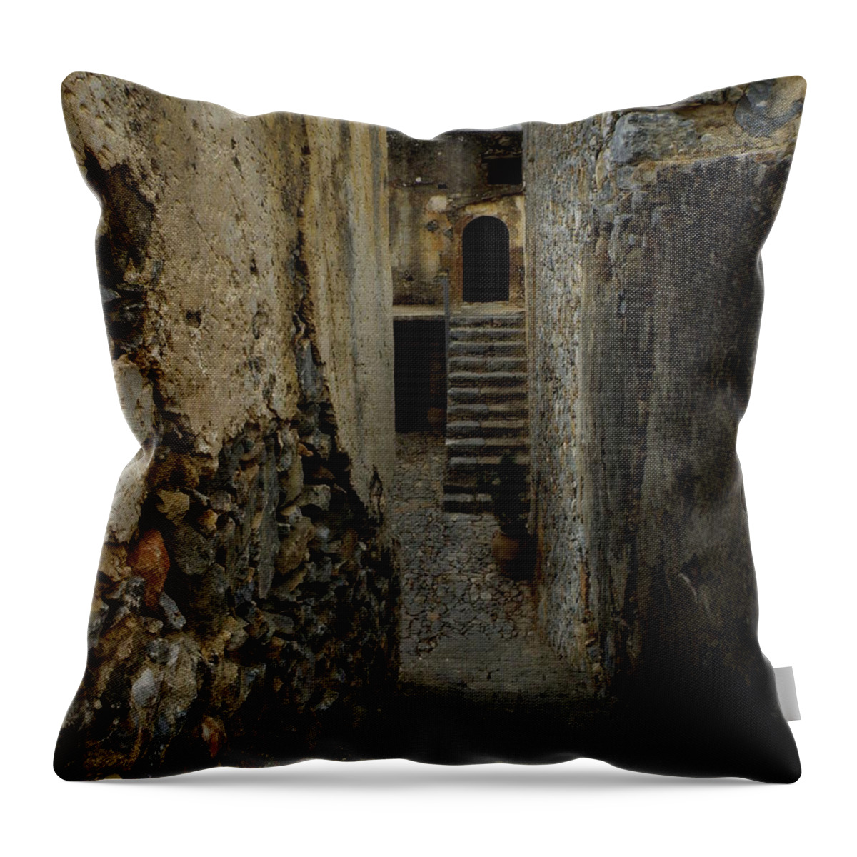 Monastery Throw Pillow featuring the photograph Lower Preveli Monastery Crete 2 by Lainie Wrightson