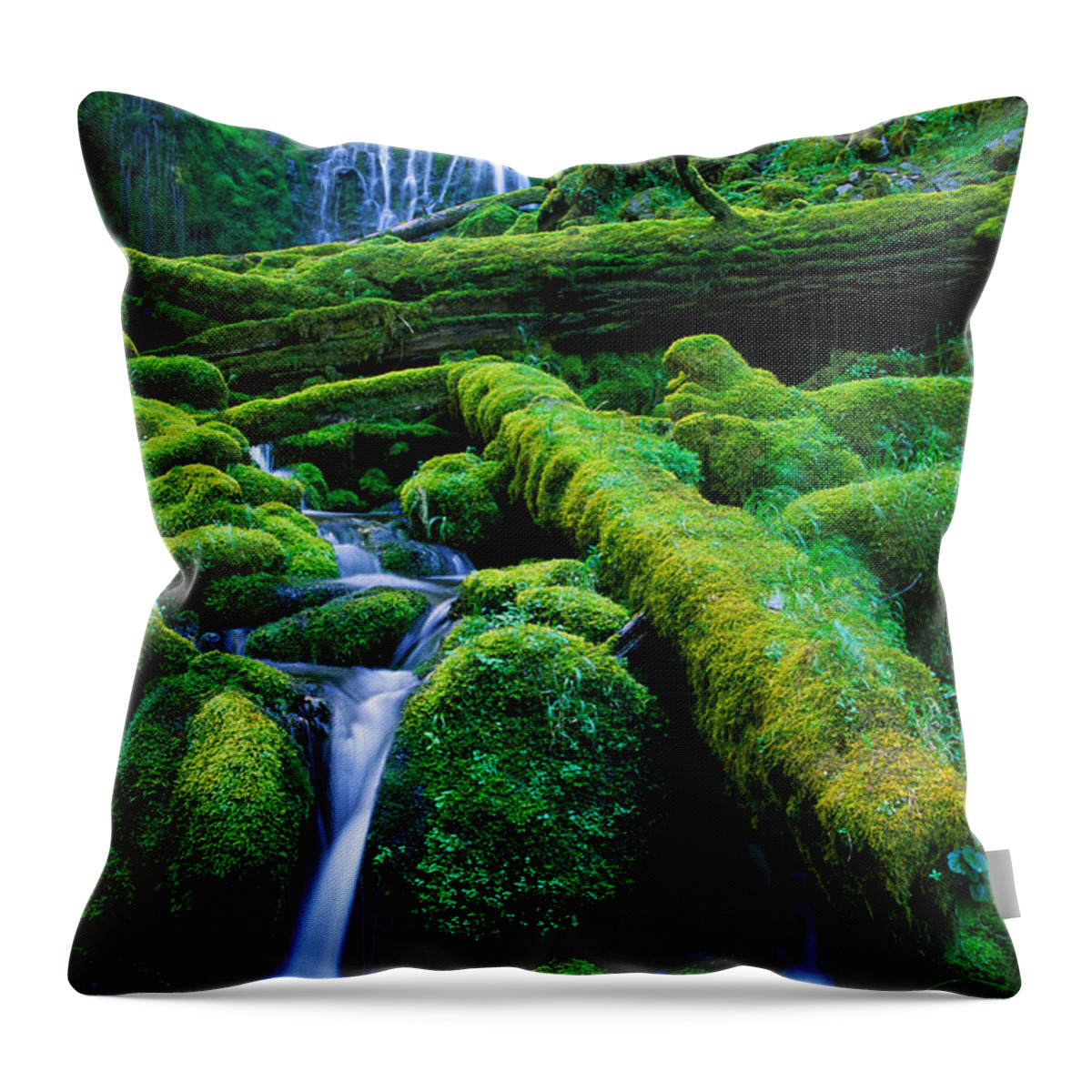 America Throw Pillow featuring the photograph Lower Proxy Falls by Inge Johnsson