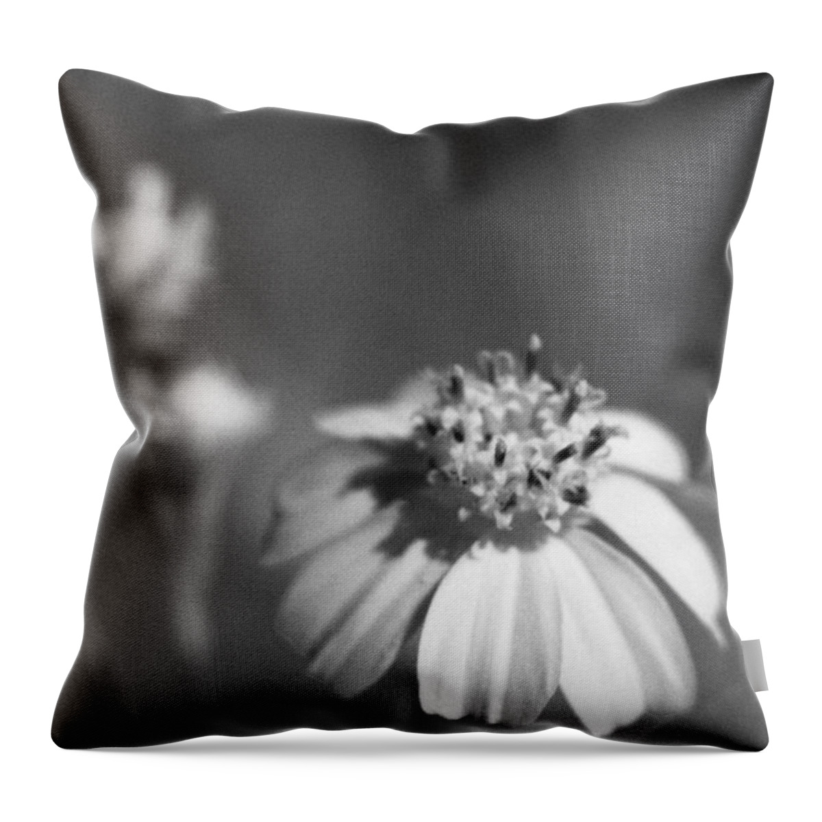 Florida Throw Pillow featuring the photograph Loxahatchee Flower by Bradley R Youngberg
