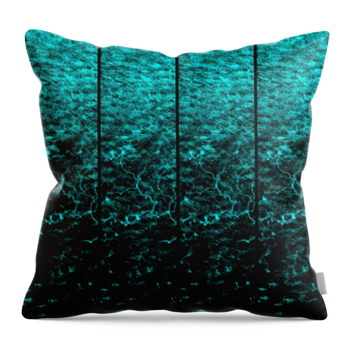 Luminescence 1a Throw Pillow featuring the photograph Luminescence 1a by Darla Wood