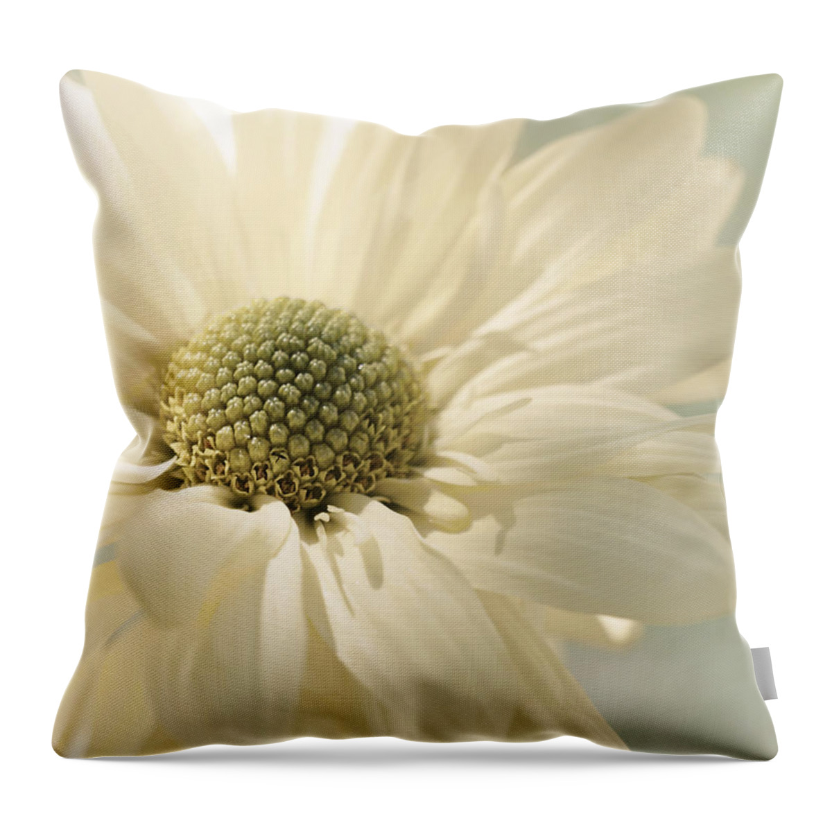 Floral Throw Pillow featuring the photograph Luminescence by Darlene Kwiatkowski