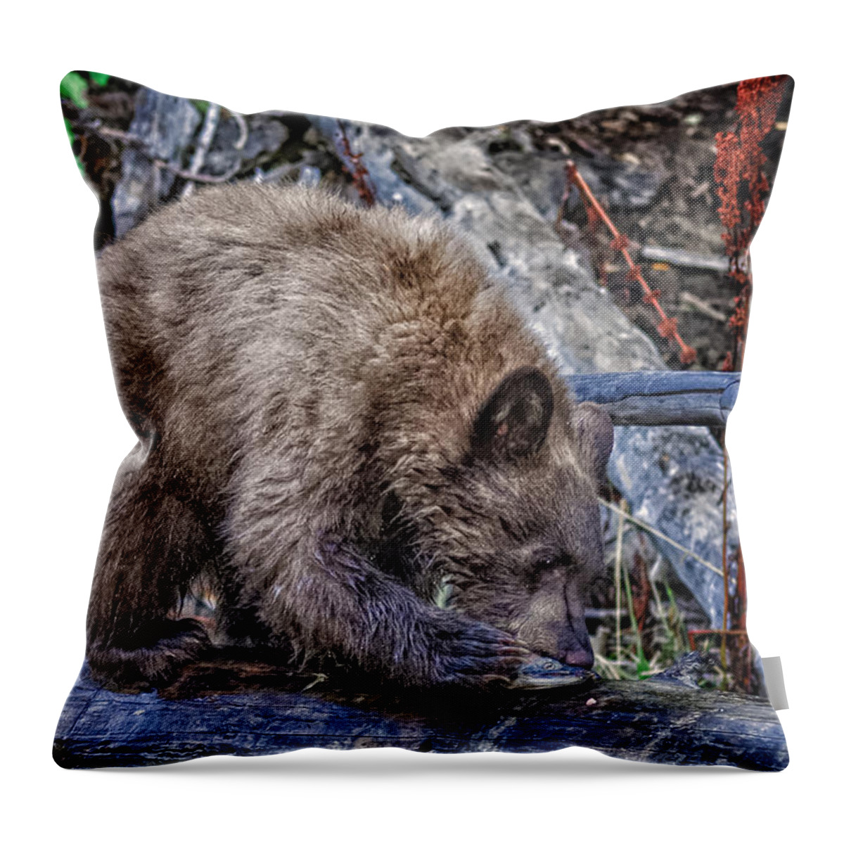 Wildlife Throw Pillow featuring the photograph Lunch Break by Jim Thompson