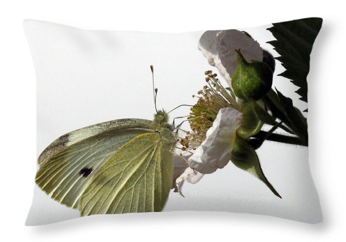 Butterfly Throw Pillow featuring the photograph Lunch Time by Kristy Jeppson