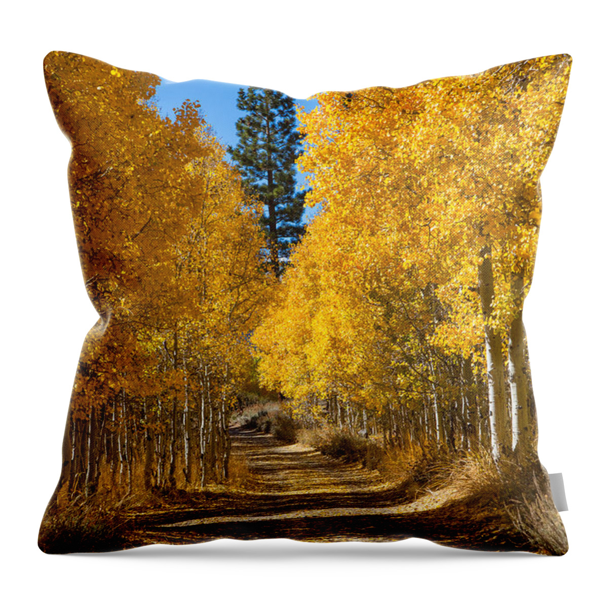 Eastern Sierra Throw Pillow featuring the photograph Lundy Canyon by Mimi Ditchie