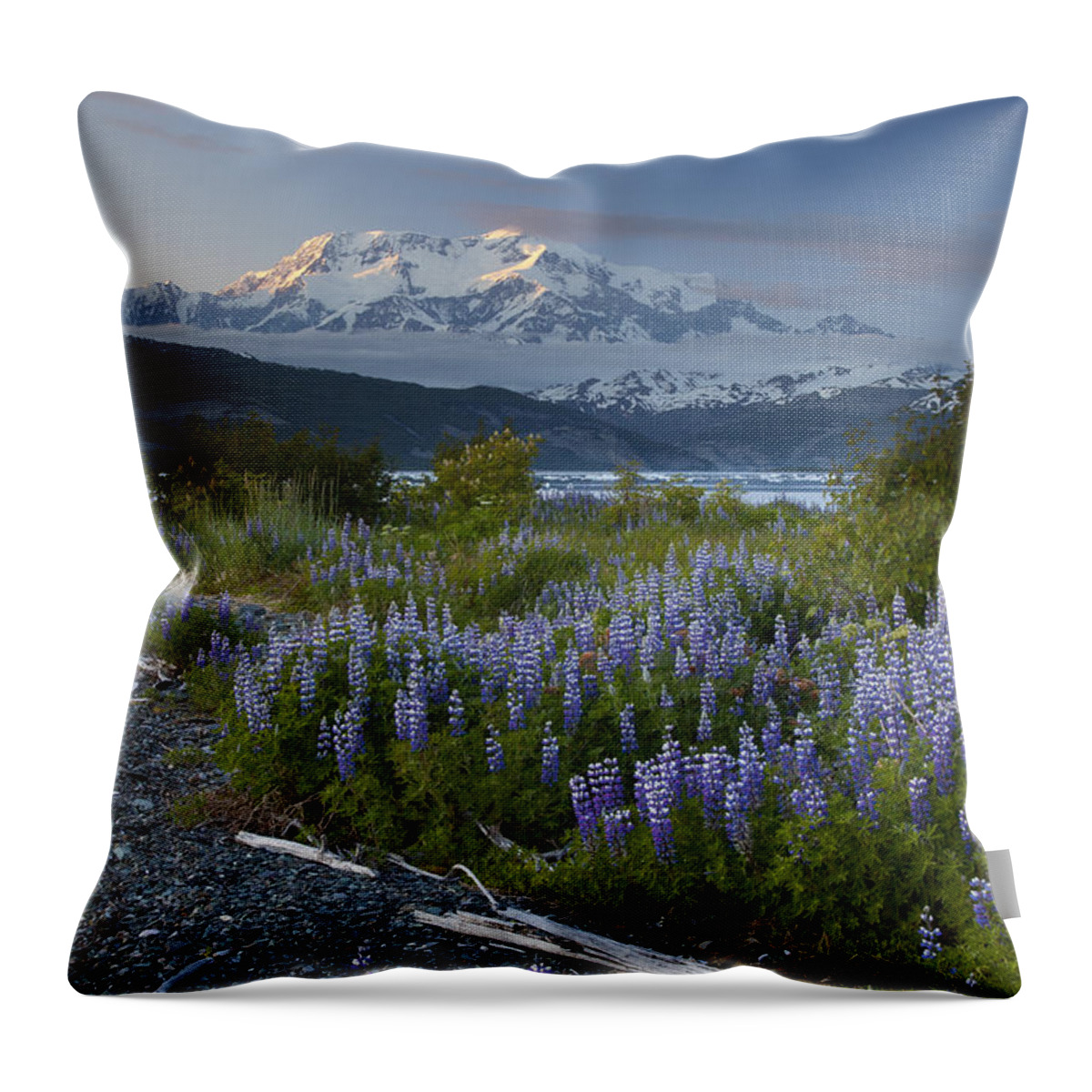 00477994 Throw Pillow featuring the photograph Lupine And Mount Elias by Matthias Breiter