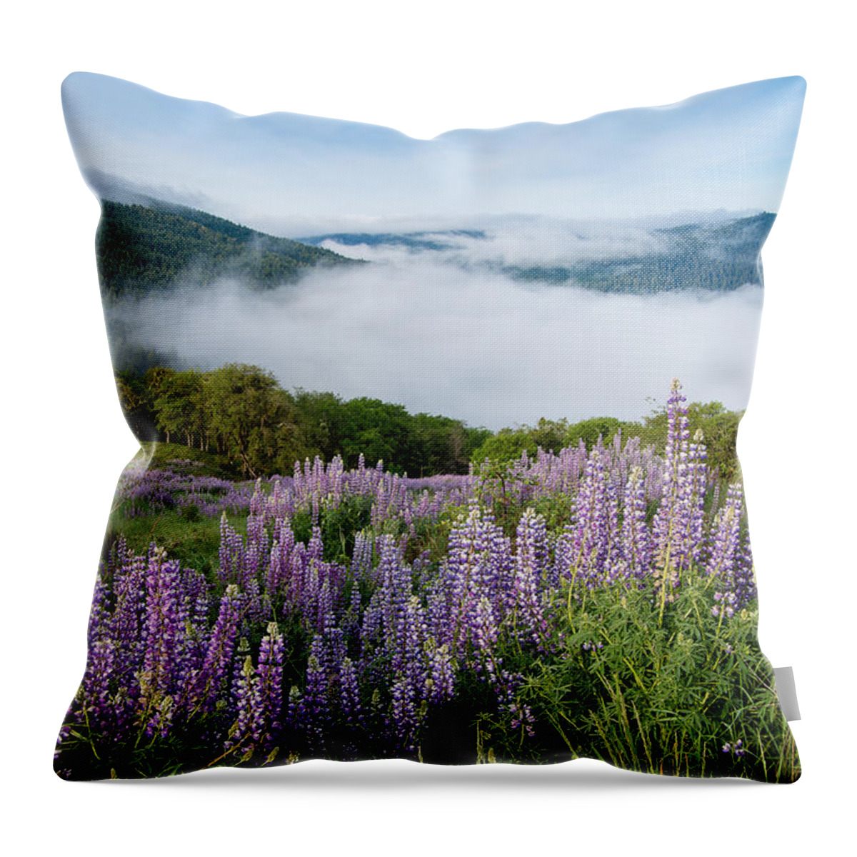 Lupine Throw Pillow featuring the photograph Lupine of Bald Hills by Greg Nyquist