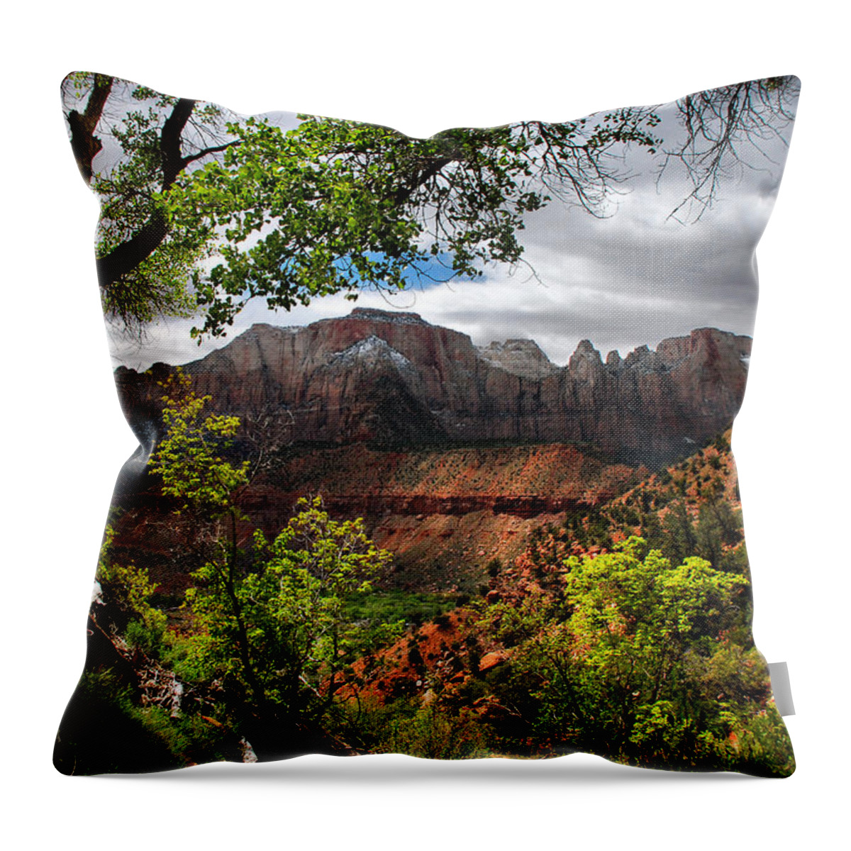 Landscape Throw Pillow featuring the photograph Luscious View by Barbara Manis