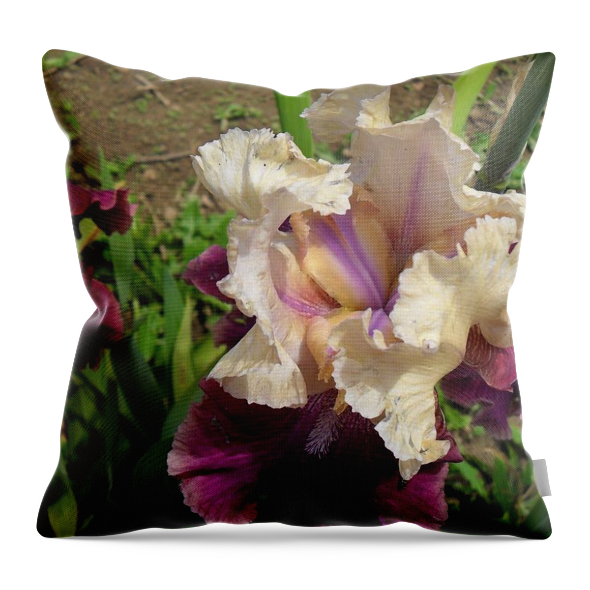 Nature Throw Pillow featuring the photograph Lush and Lovely by Peggy King