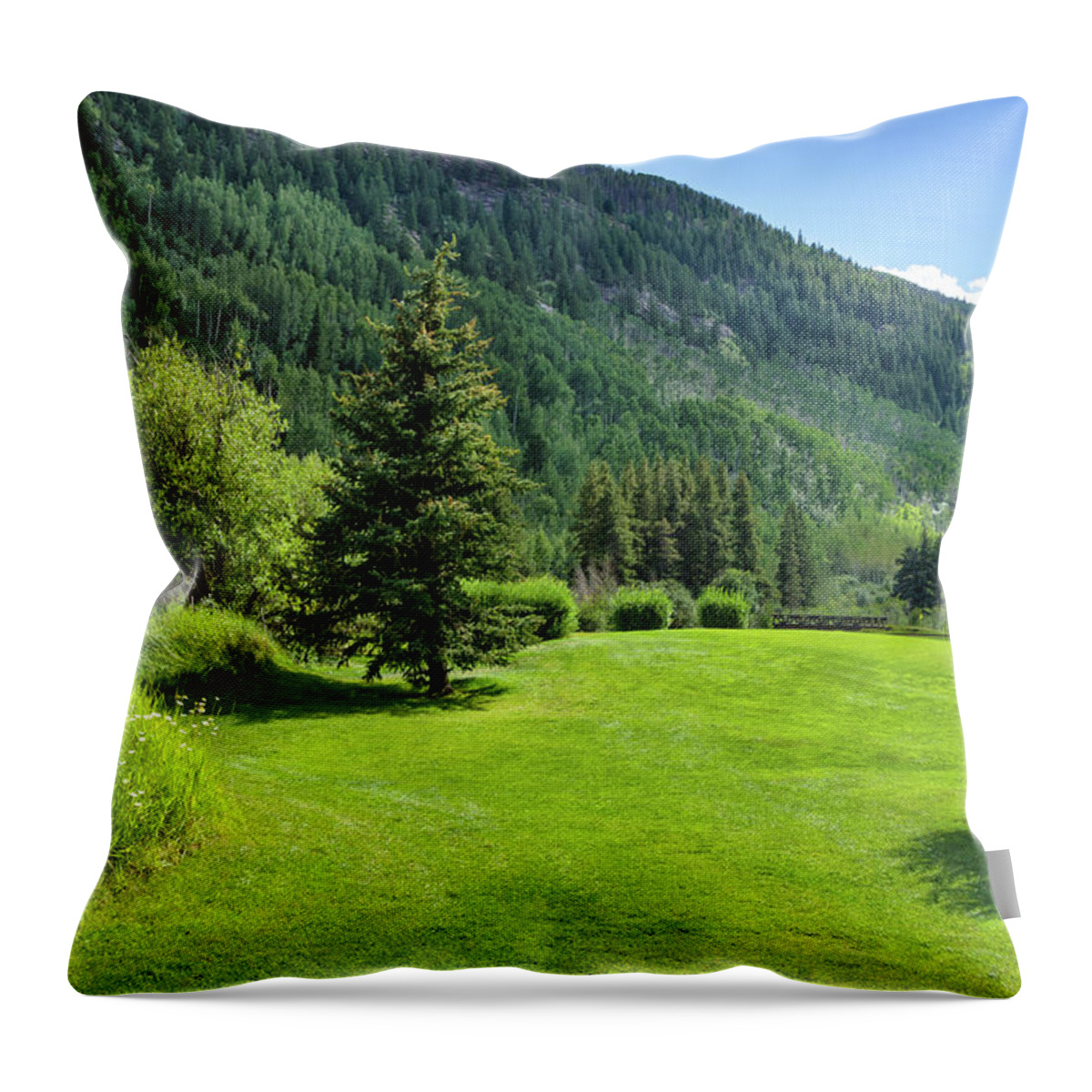 Scenics Throw Pillow featuring the photograph Lush Green Scenic Backdrop Area by Adventure photo