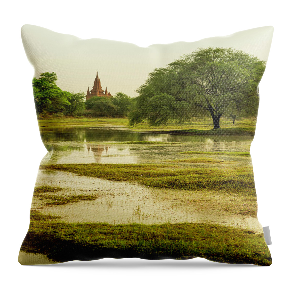 Grass Throw Pillow featuring the photograph Lush Landscape With Wide Tree And Temple by Merten Snijders