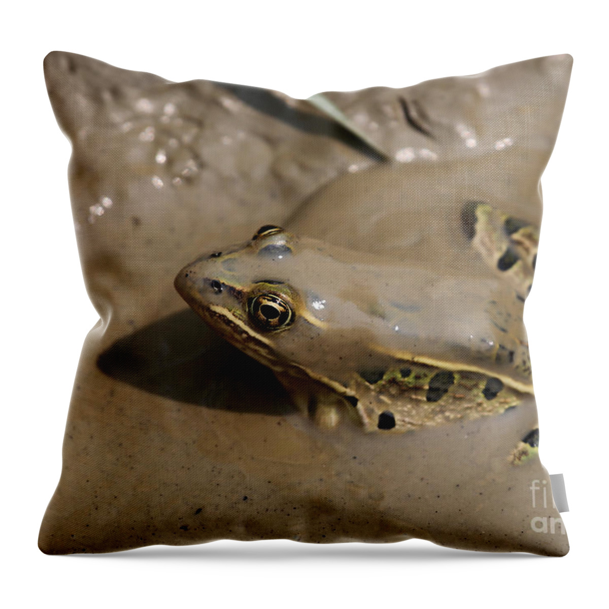 Northern Leopard Frog Throw Pillow featuring the photograph Luv Mud by Marty Fancy