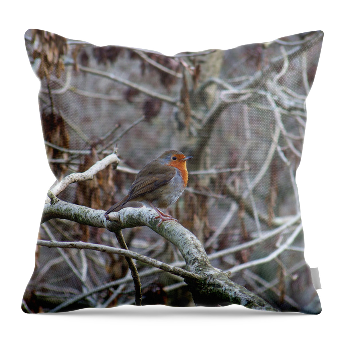 Animal Throw Pillow featuring the photograph Lwv10001 by Lee Winter