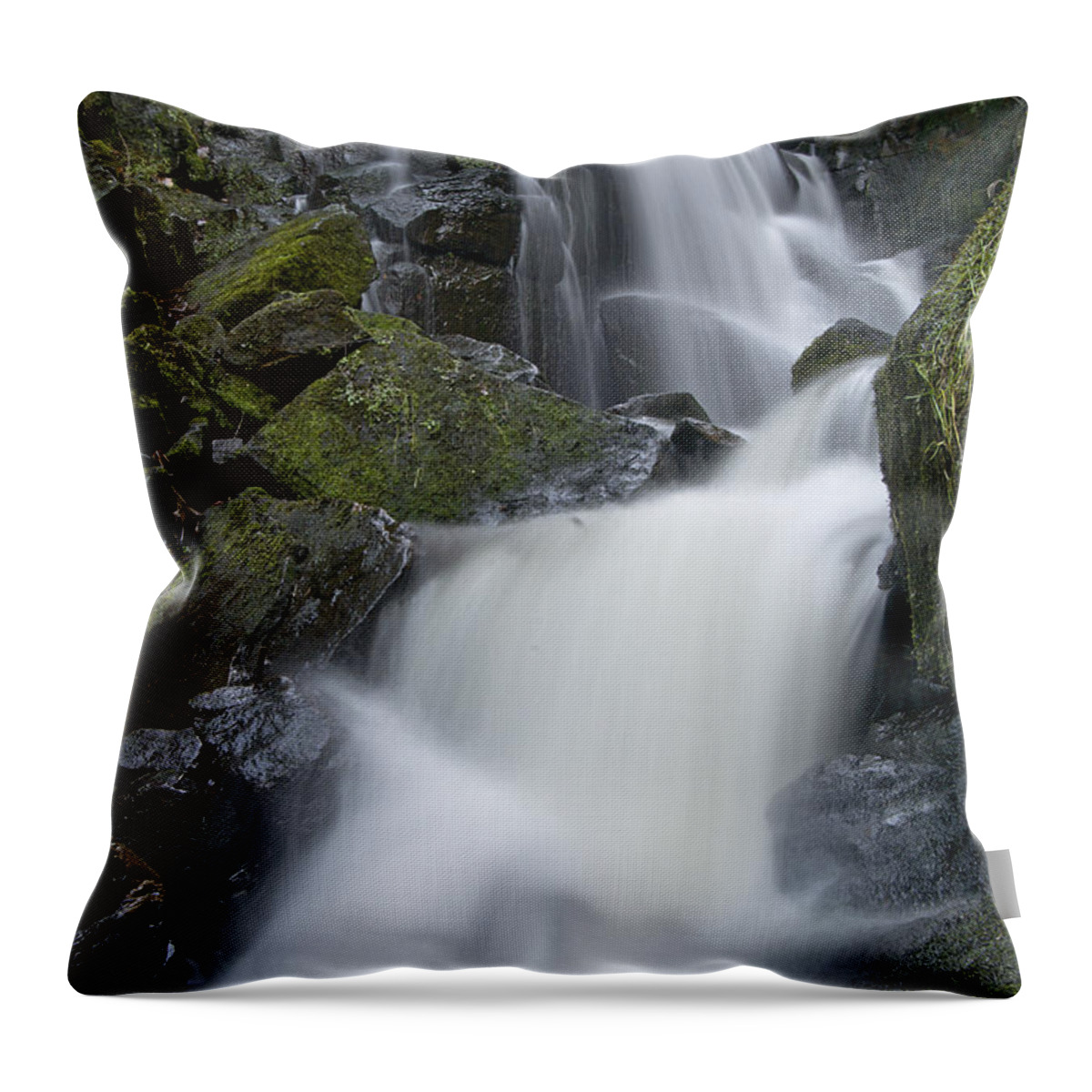 Water Throw Pillow featuring the photograph Lwv10069 by Lee Winter