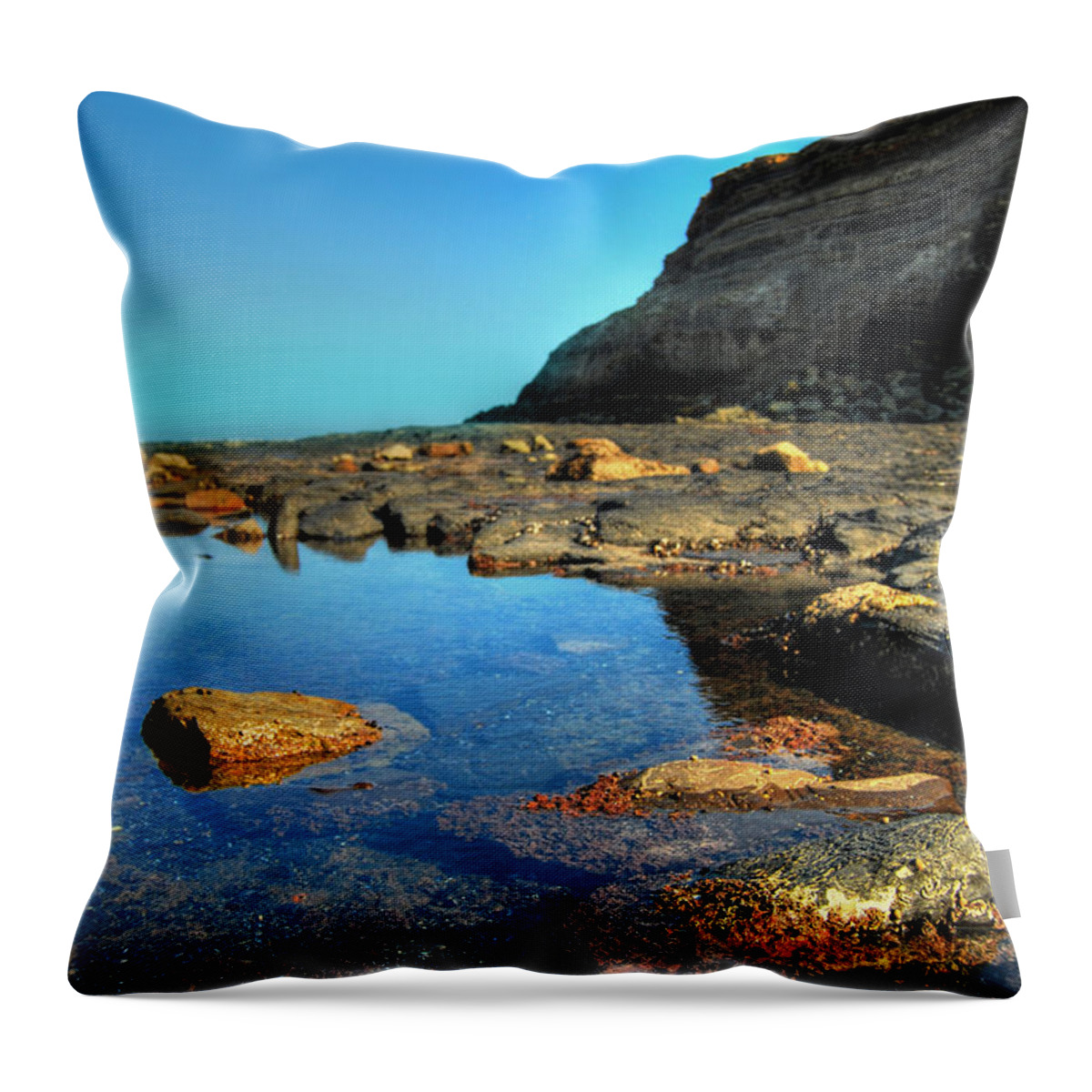  Throw Pillow featuring the photograph Lwv20057 by Lee Winter