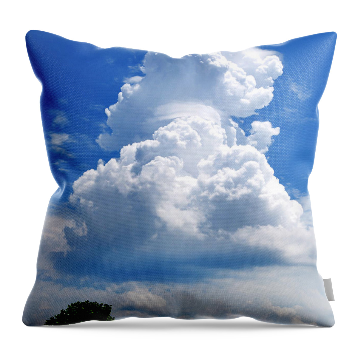  Throw Pillow featuring the photograph Lwv40017 by Lee Winter