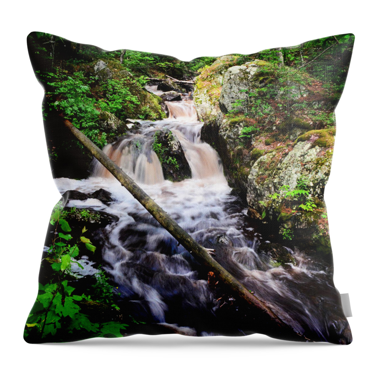 Waterfall Throw Pillow featuring the photograph Lwv60008 by Lee Winter
