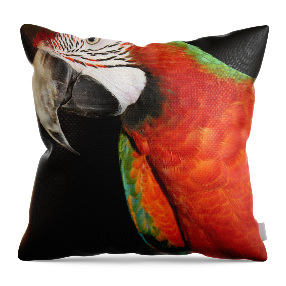 Macaw Profile Throw Pillow featuring the photograph Macaw Profile by John Telfer