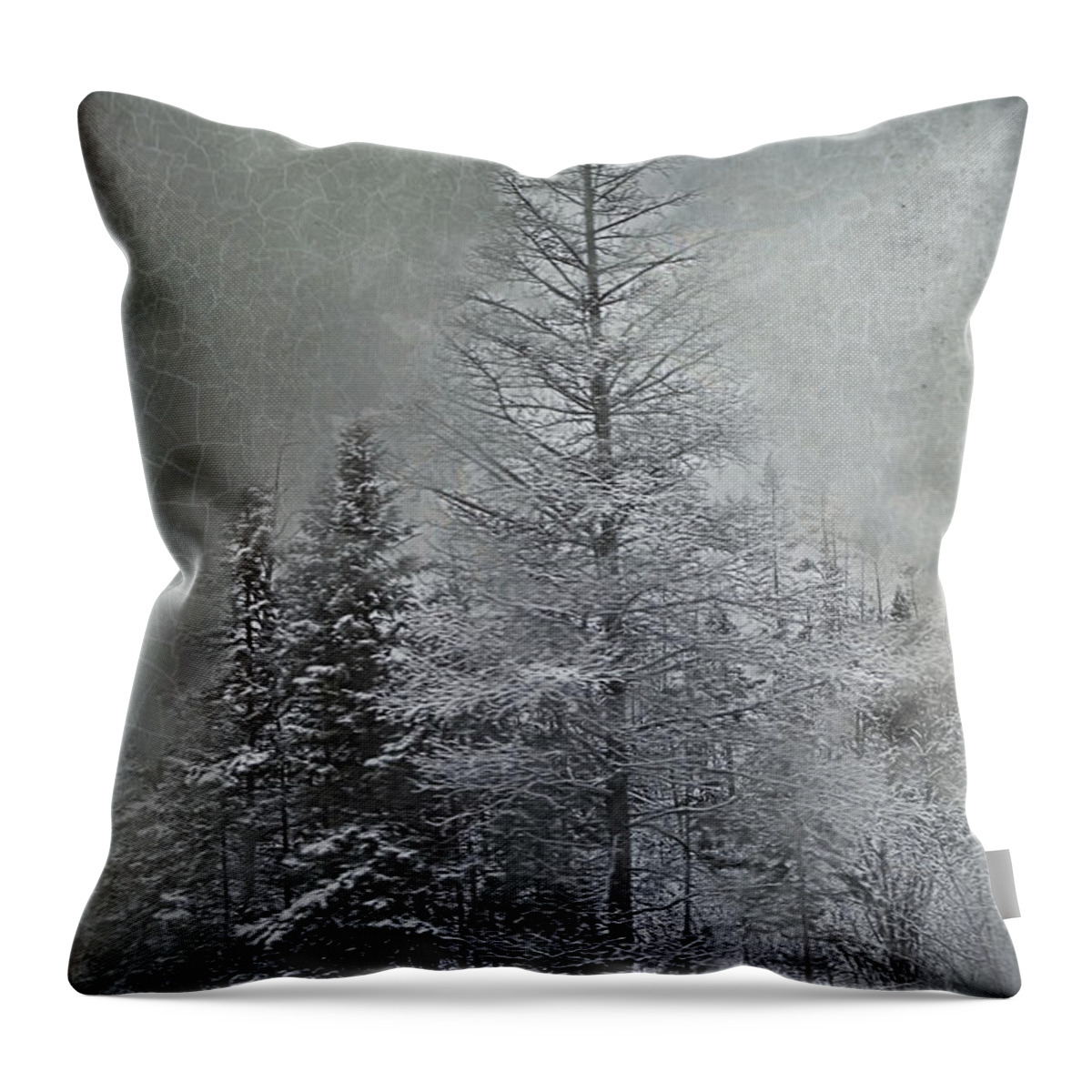 Carrier Throw Pillow featuring the photograph Mackinaw Michigan Winter by Evie Carrier