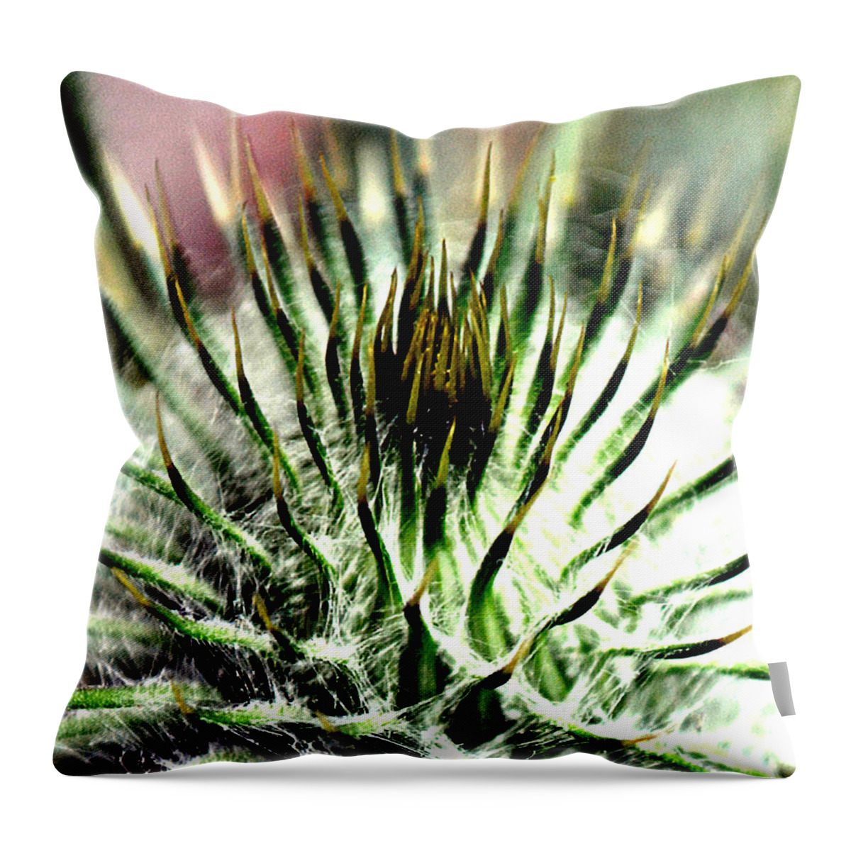 Beautiful Throw Pillow featuring the photograph Macro Thistle by Jason Roust