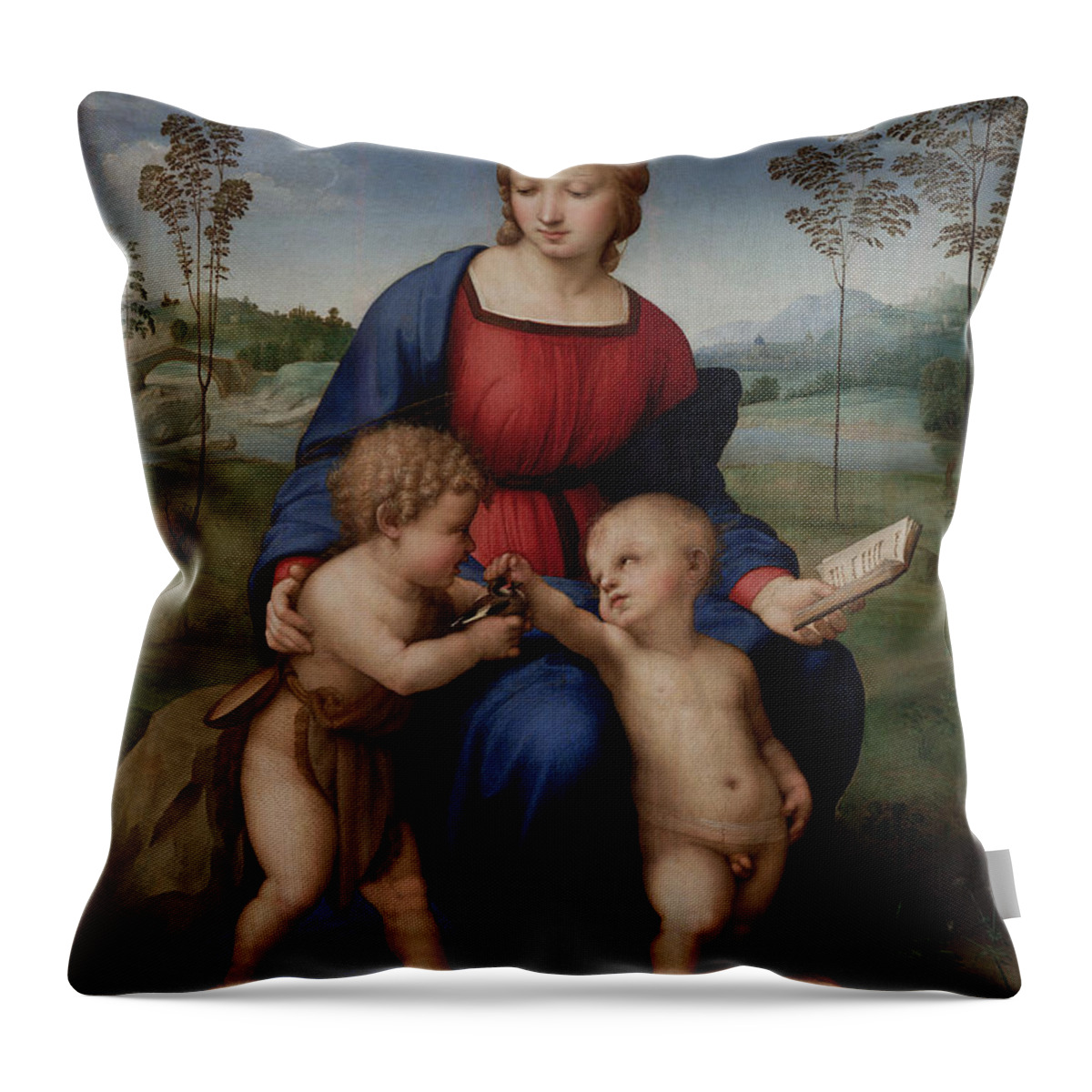 Madonna Of The Goldfinch Throw Pillow featuring the painting Madonna of the Goldfinch by Raphael