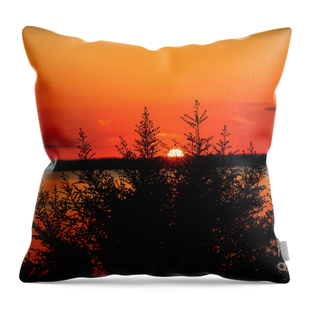 Sunset Throw Pillow featuring the photograph Magic At Sunset by Ella Kaye Dickey