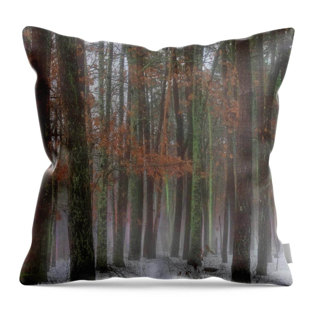 Fog Throw Pillow featuring the photograph Magic in the Fog 1 by Beth Venner